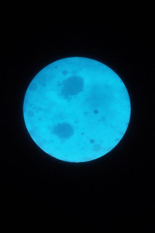 Night Glowing Moon